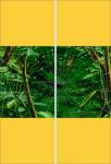 Фотопечать - Цветы