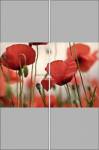 Фотопечать - Цветы