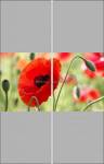 Фотопечать - Цветы