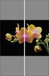 Фотопечать - Цветы