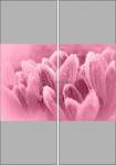Фотопечать - Цветы