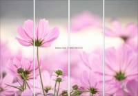 Фотопечать - Цветы