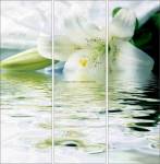 Фотопечать - Цветы