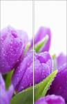 Фотопечать - Цветы